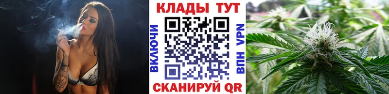 МЕФ Магадан