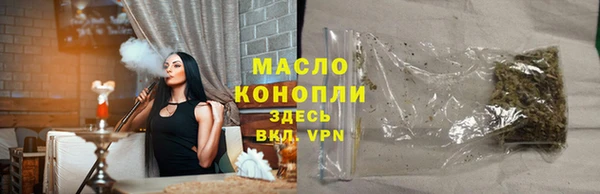 индика Абинск