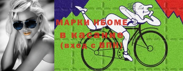 индика Абинск