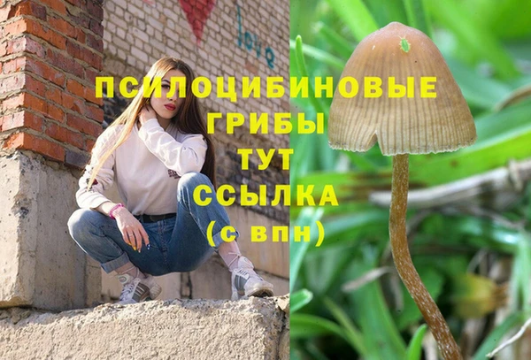 индика Абинск