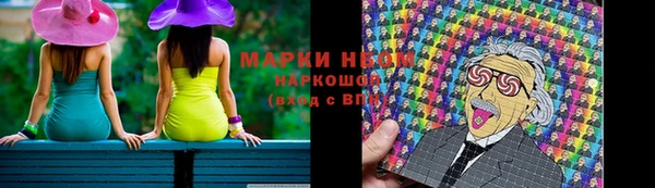 индика Абинск
