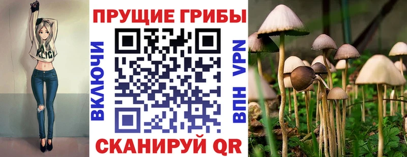 мега зеркало Магадан Псилоцибиновые грибы мухоморы хочу наркоту